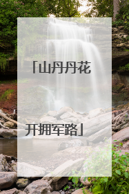 山丹丹花开拥军路